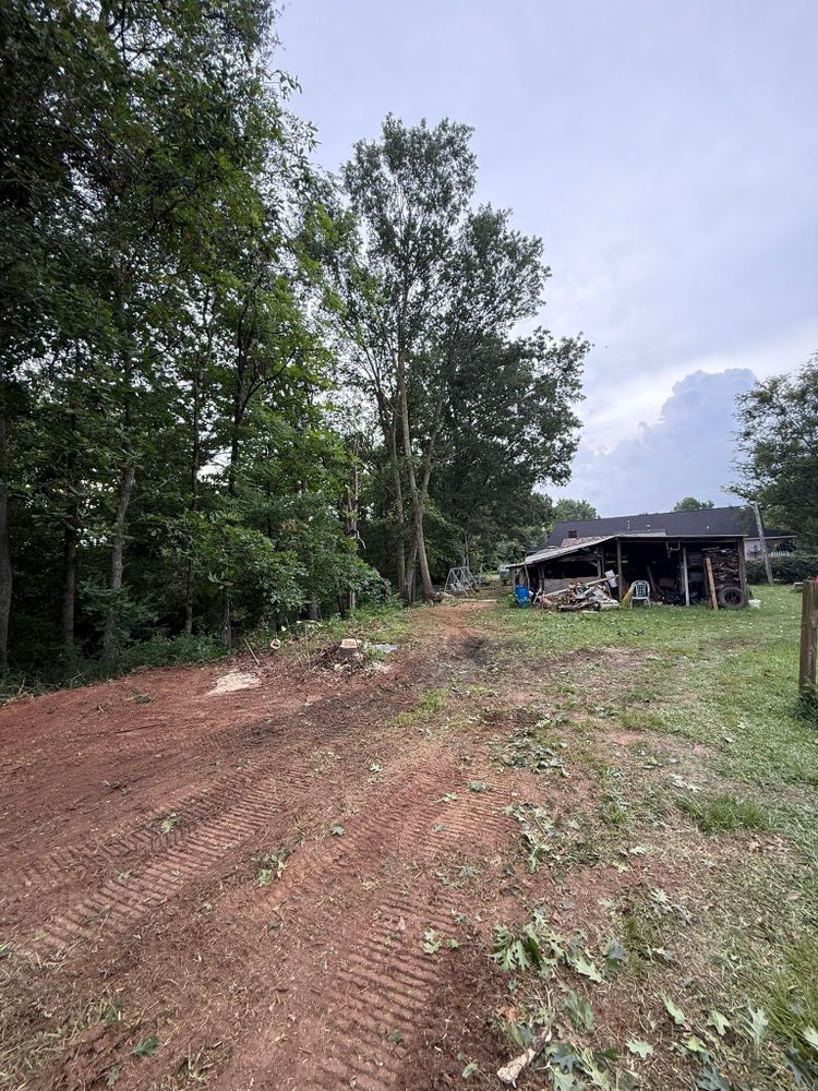 All Photos for Mud Creek Vegetation Management in Russellville, AL