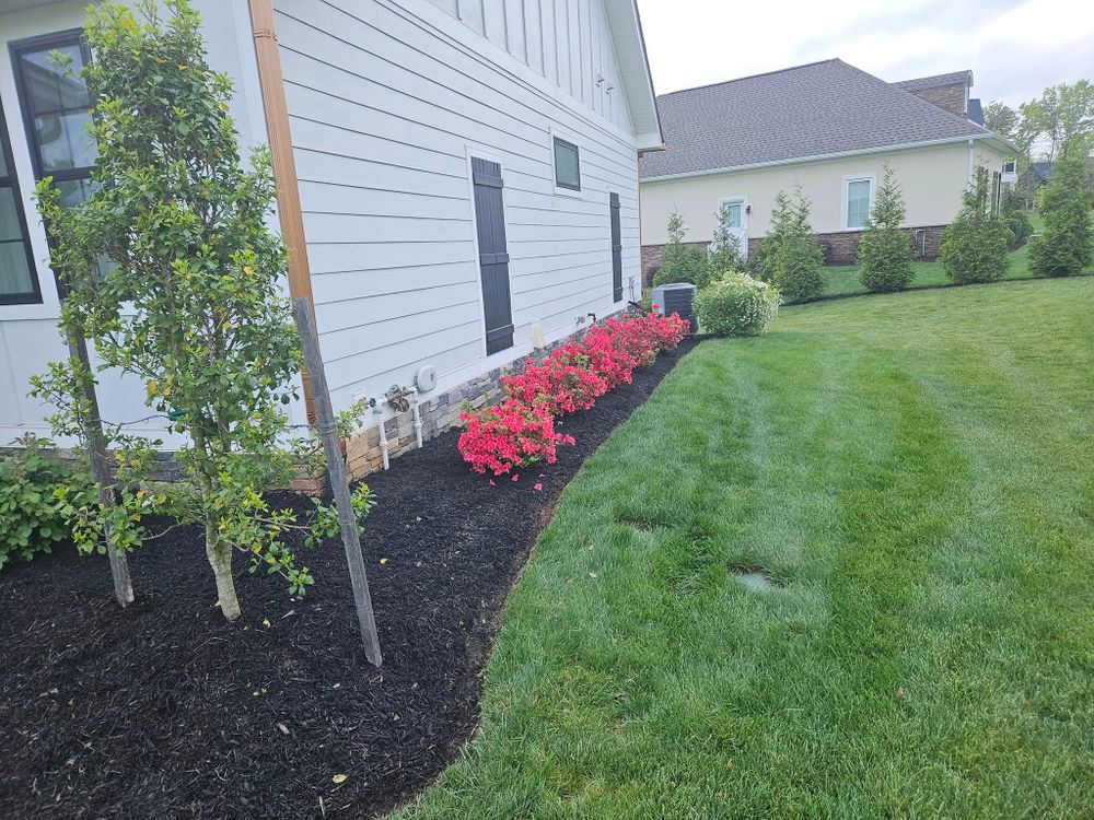 Lawn Care for Browns Grounds in Culpeper, VA