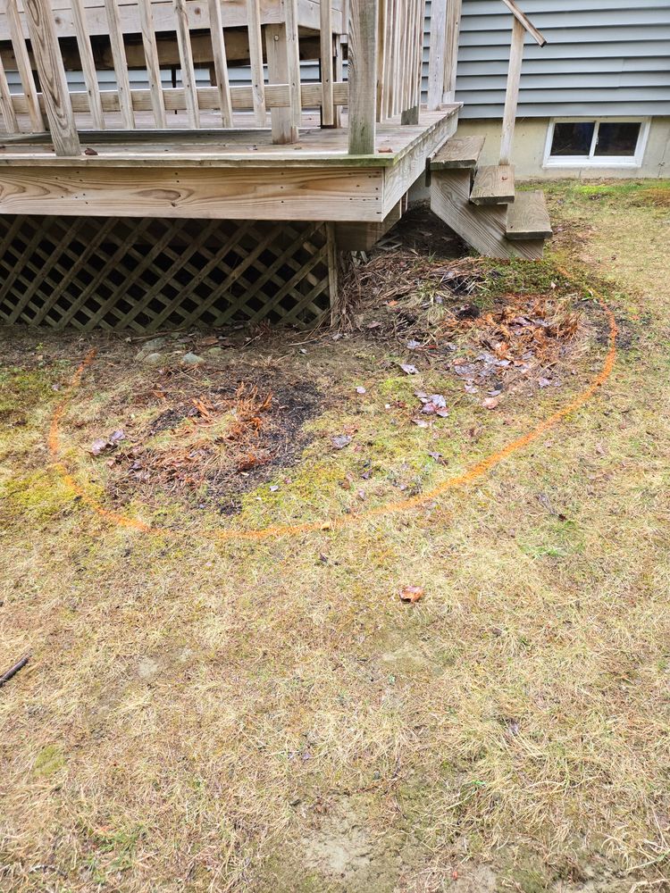All Photos for Casey's Lawn Service LLC in Orono, ME
