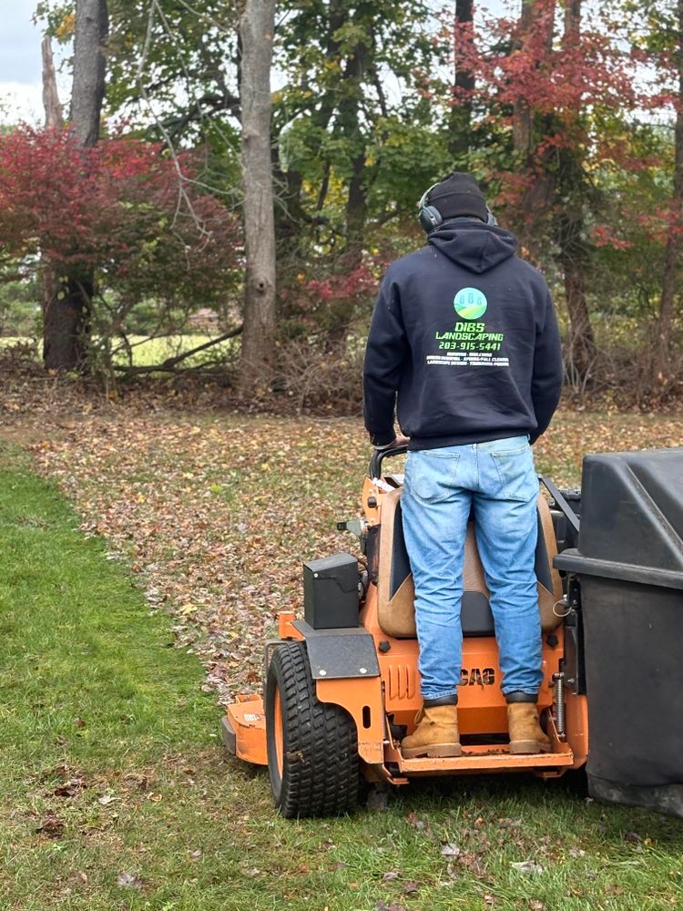 All Photos for Dibs Landscaping LLC in Cheshire, CT