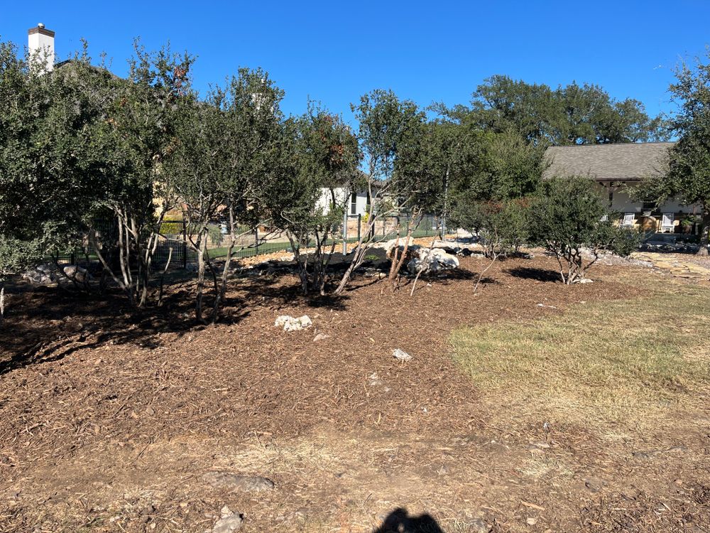 All Photos for Bad Axe Landscapes LLC in Schertz, TX