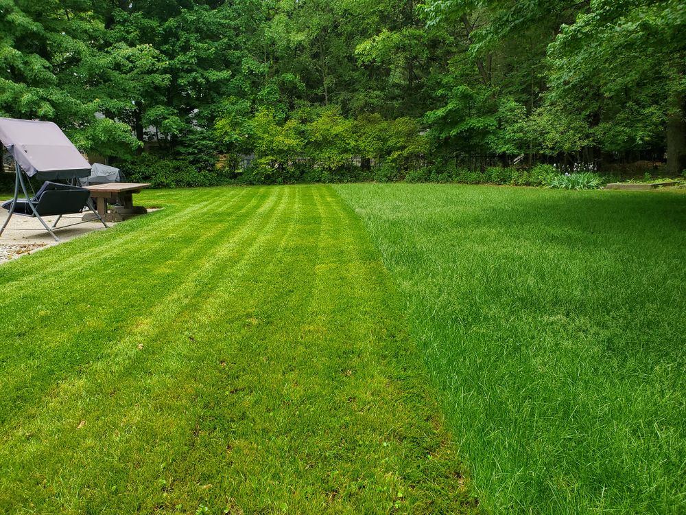 Landscaping for Fred's Lawncare in Muskegon, MI