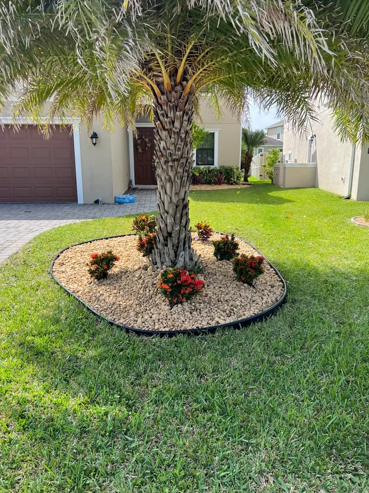 All Photos for Florida Pro Turf in Rockledge, FL