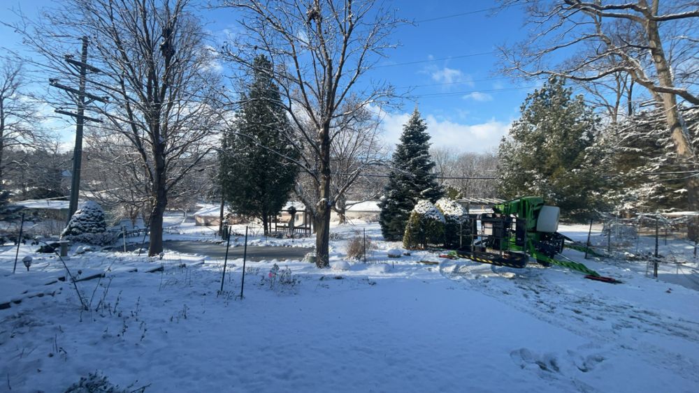 All Photos for Fransen's Tree Service  in Freeport, IL