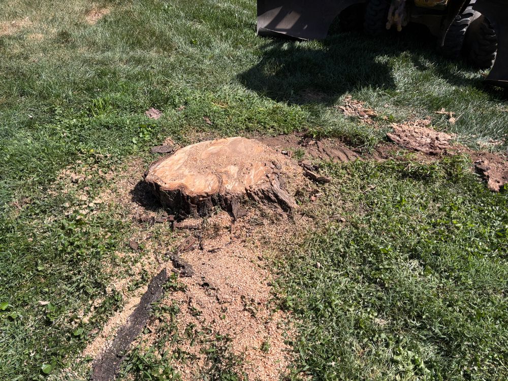 All Photos for Conrad's Stump Removal in Columbus, IN