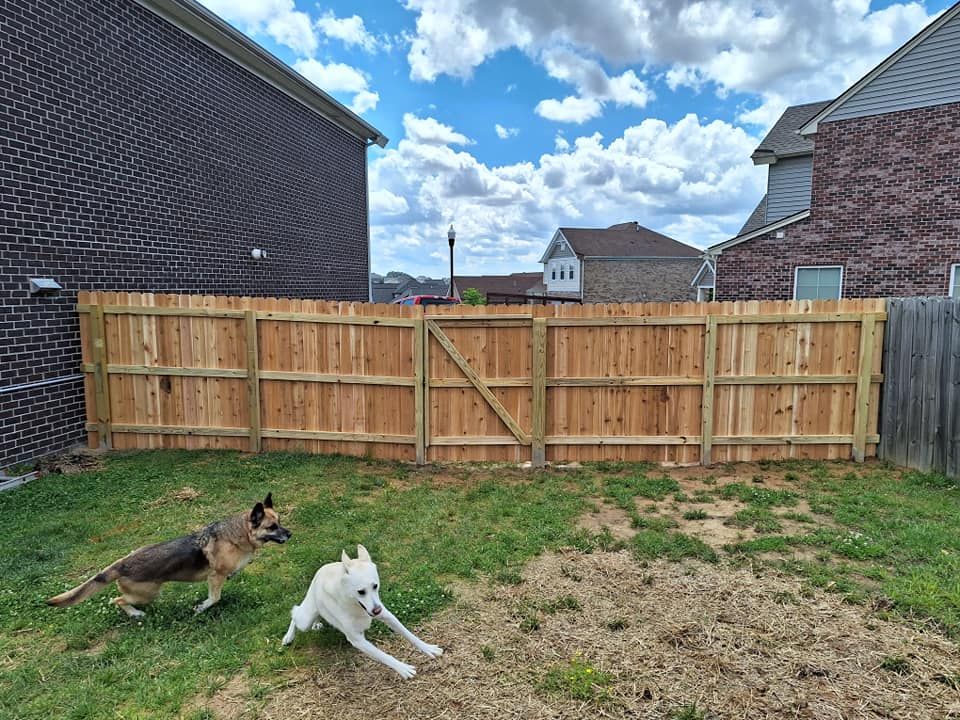 Fences for Apex Fence in Henderson, KY