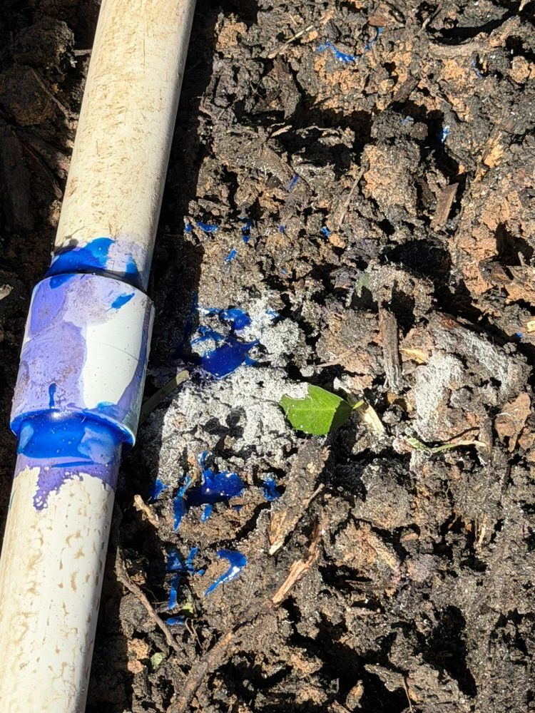 All Photos for Texas Curb N Borders in Houston, TX