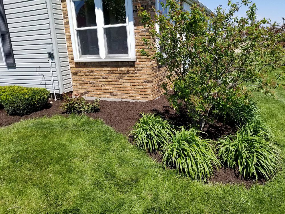 All Photos for Stout Mowing & Services LLC in Huntington, IN