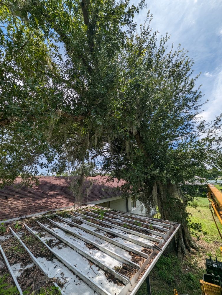 All Photos for Regal Tree Service and Stump Grinding in Wauchula, FL