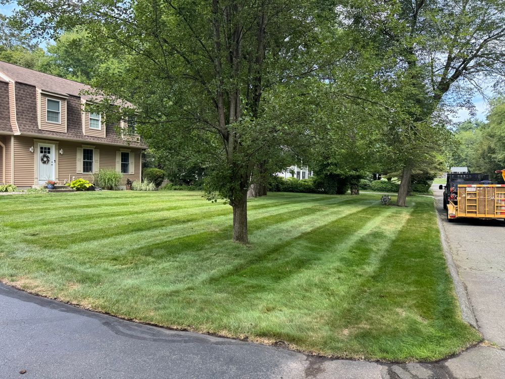 All Photos for Adams Landscaping in Springfield, MA