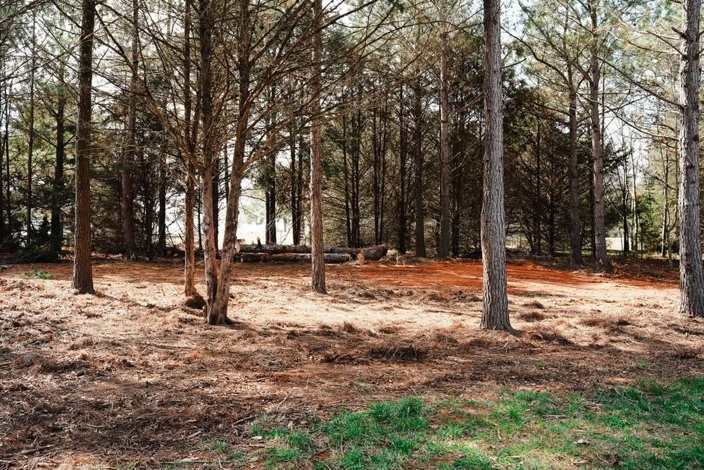 All Photos for 1UP Services LLC in Starr, SC