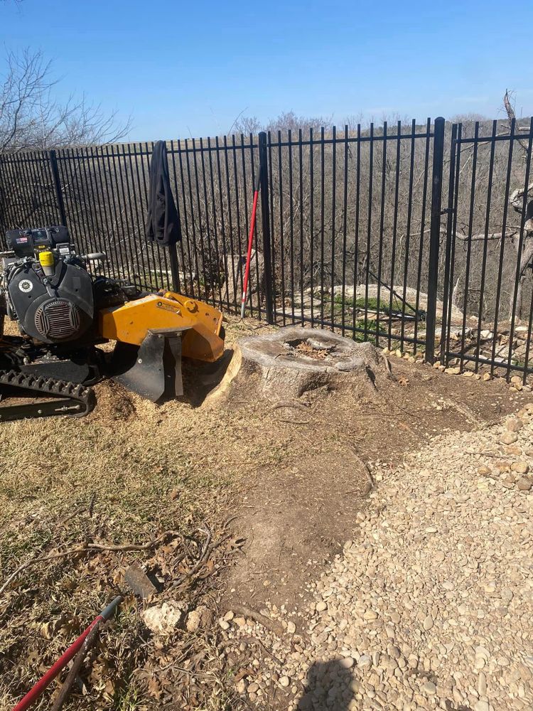 All Photos for West Stump Grinding in Temple, TX