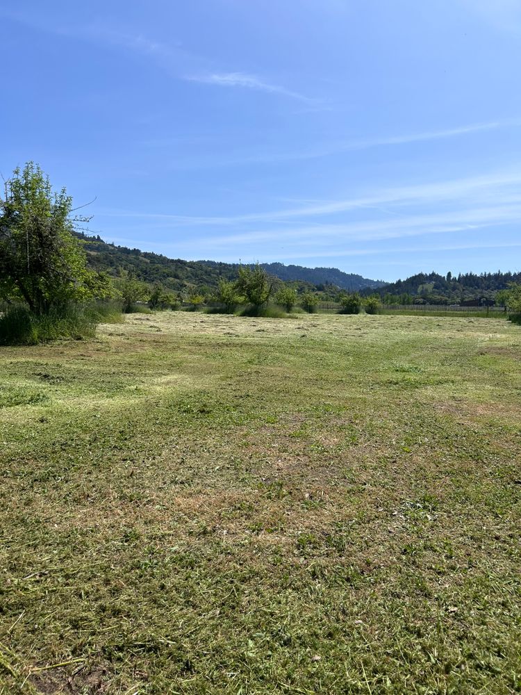 All Photos for J. Orozco & Sons Ent in Philo, CA