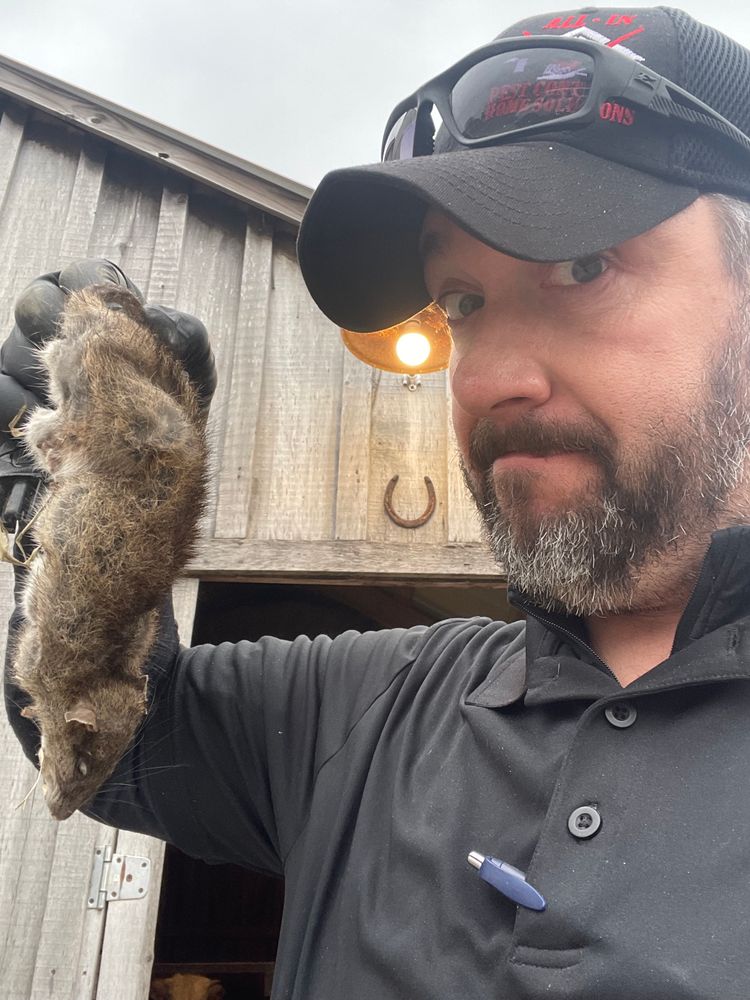 Pest Control for All-In Pest Control & Home Solutions in Greene County, IN