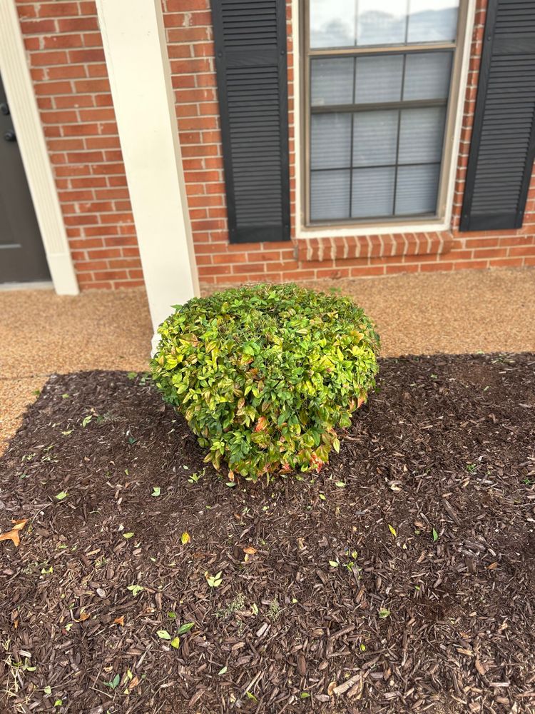 All Photos for MLC in Murfreesboro, TN