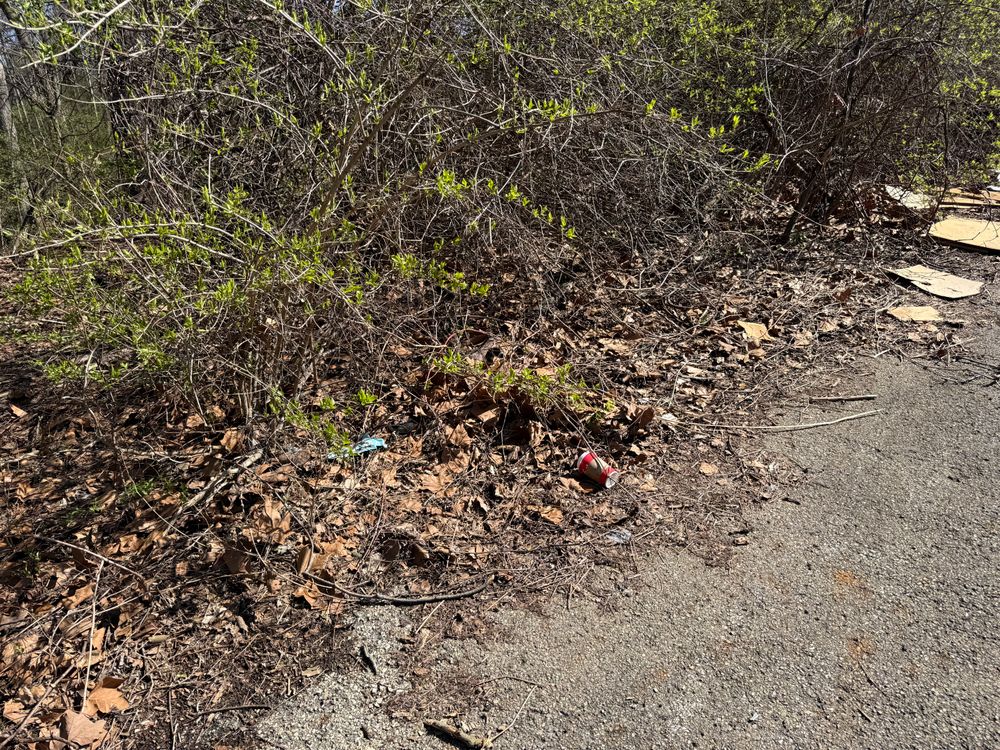 All Photos for A1 Bush Hogging & Lawn Service in London, OH