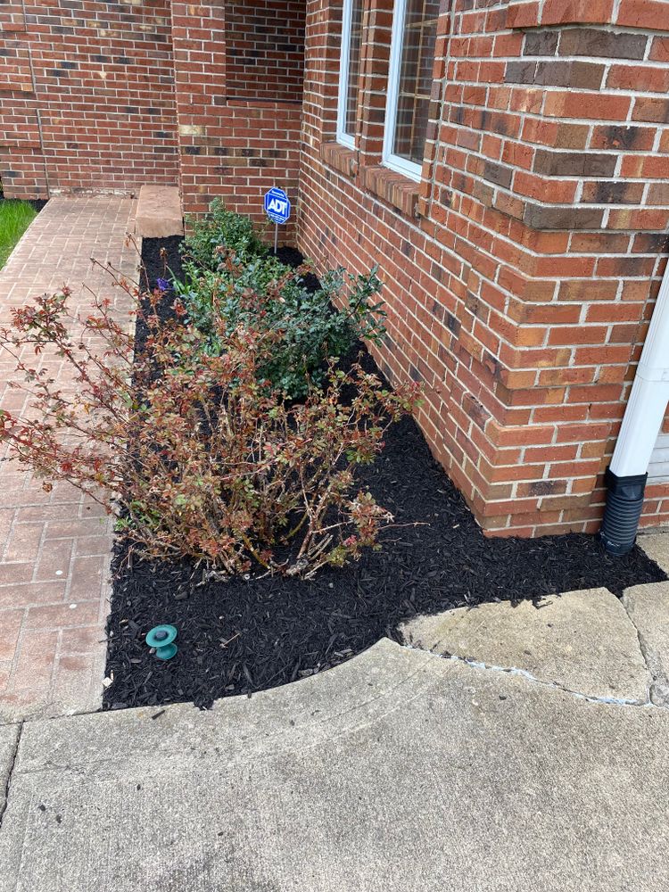 All Photos for Bearforce Lawn Care LLC in Greenfield, IN