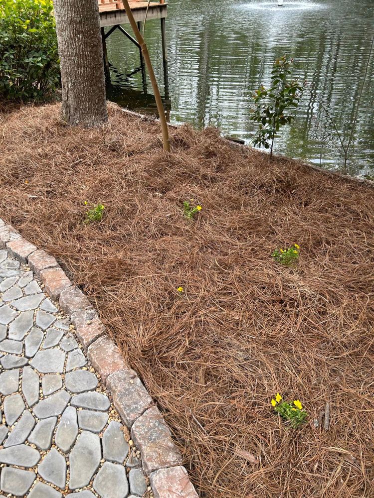 Landscaping for Southeast Aquatic Land Services LLC  in Waycross, GA