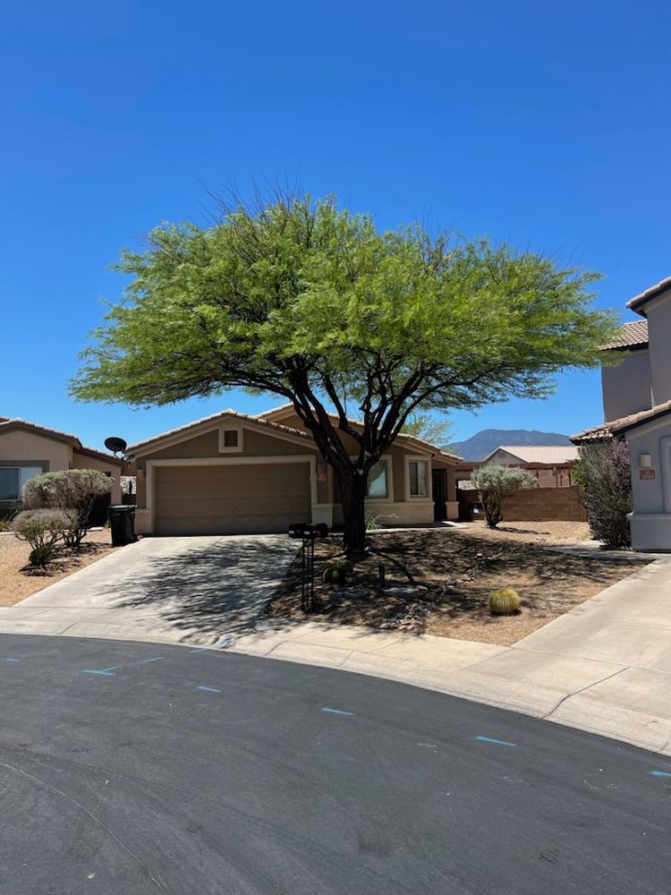 Enhance your home's beauty and safety with our professional tree trimming service, ensuring healthy growth and preventing hazards. Our experts meticulously shape trees to optimize aesthetics while maintaining their health. for A to Z Grounds Keeping in Sierra Vista, AZ