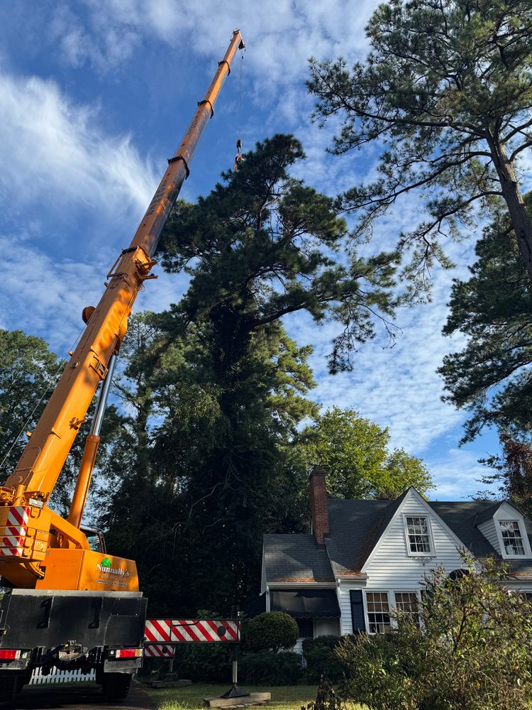 All Photos for Rawls Tree Care in Richmond, VA