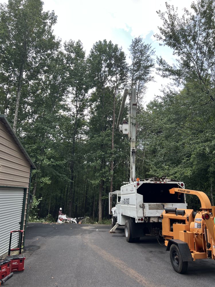 All Photos for Platinum Outdoor Services LLC in Conover, NC
