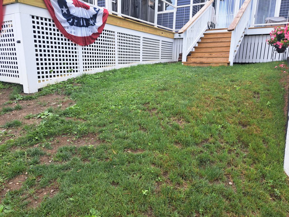 All Photos for Canadice Valley Construction LLC in Canadice, NY