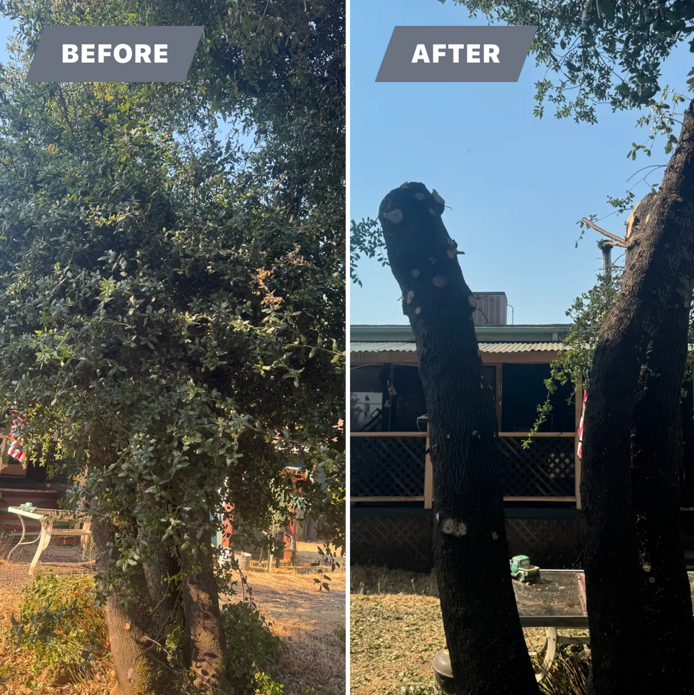 All Photos for Stanisloo’s Landscaping and Services in Potter Valley, CA