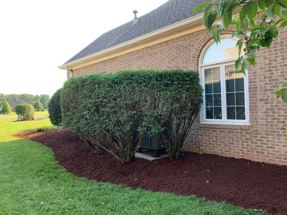 Other Services for Optimum Tree Service And Landscaping in Bowling Green, KY