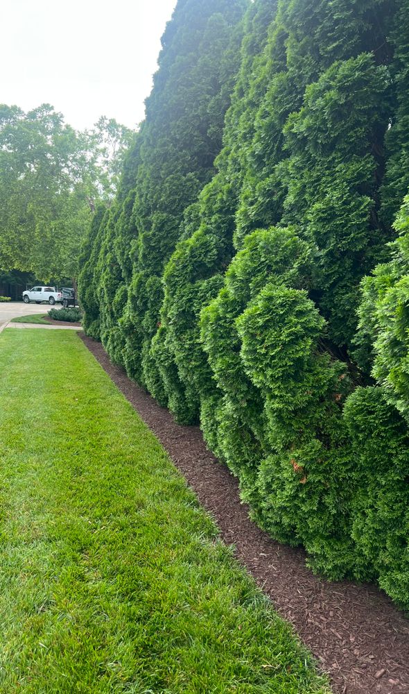 All Photos for Full Service Landscaping in Louisville, KY