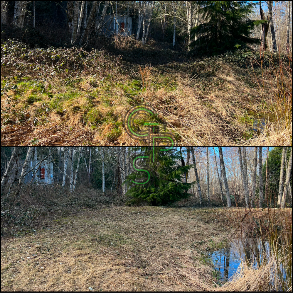 Blackberry Mulching - Brush Clearing for Golovin Property Services LLC in Marysville, WA