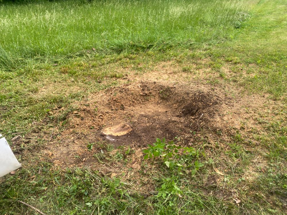 All Photos for Houtz Tree Service in Lexington, KY