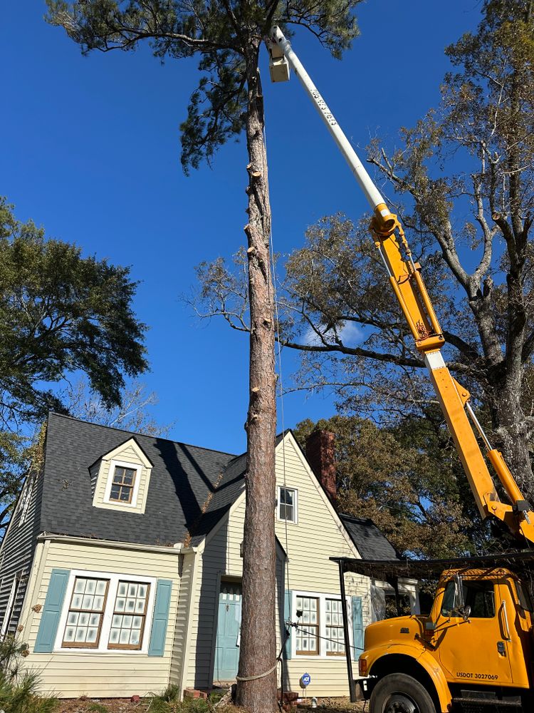 All Photos for ArborMax in Thomaston, GA