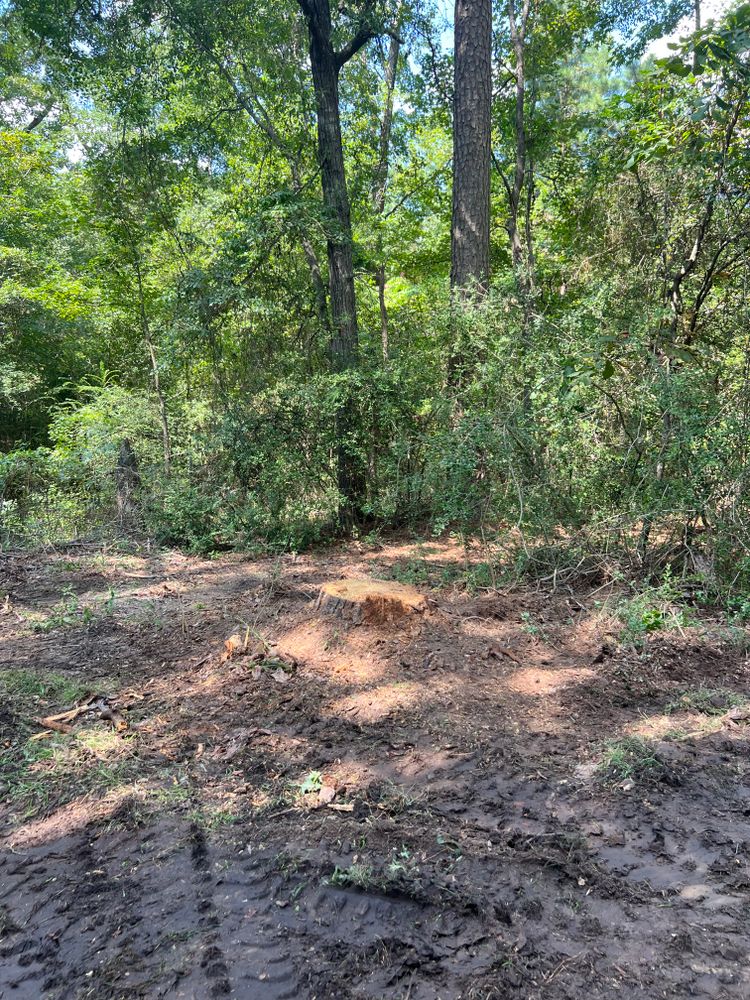 All Photos for Best Price Tree Service in Hallsville, TX