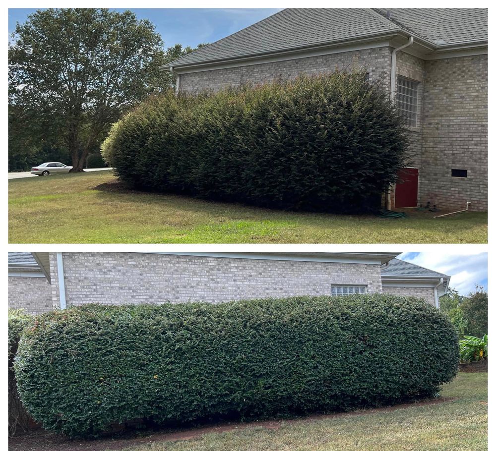 Landscaping for Elite Landscaping LLC in Anderson, SC