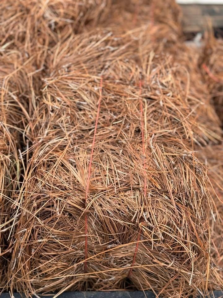 All Photos for Green Works Landscaping in Clayton, NC