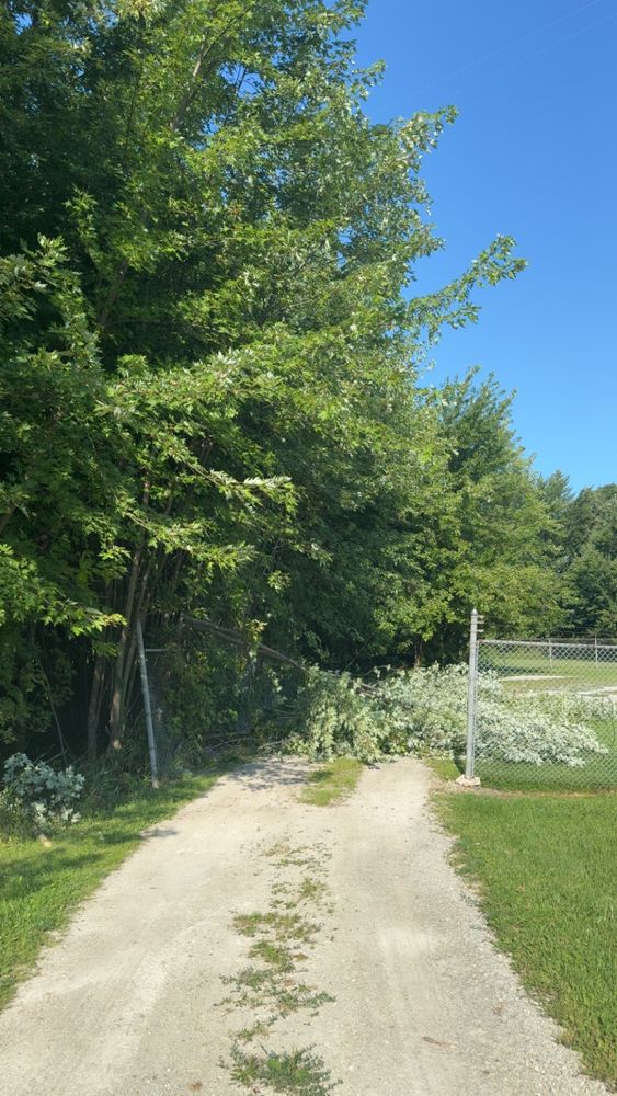 All Photos for Fransen's Tree Service  in Freeport, IL