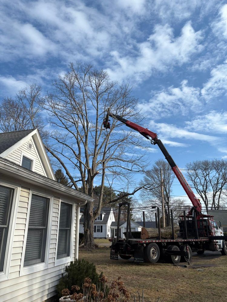 All Photos for Dwights Tree Service in Middleborough, MA