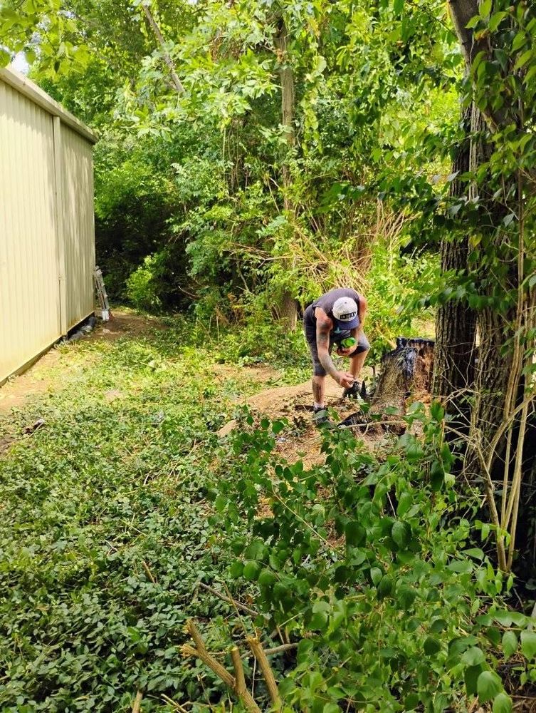 All Photos for Kingdom Tree Trimming and Removal LLC in Covington, KY