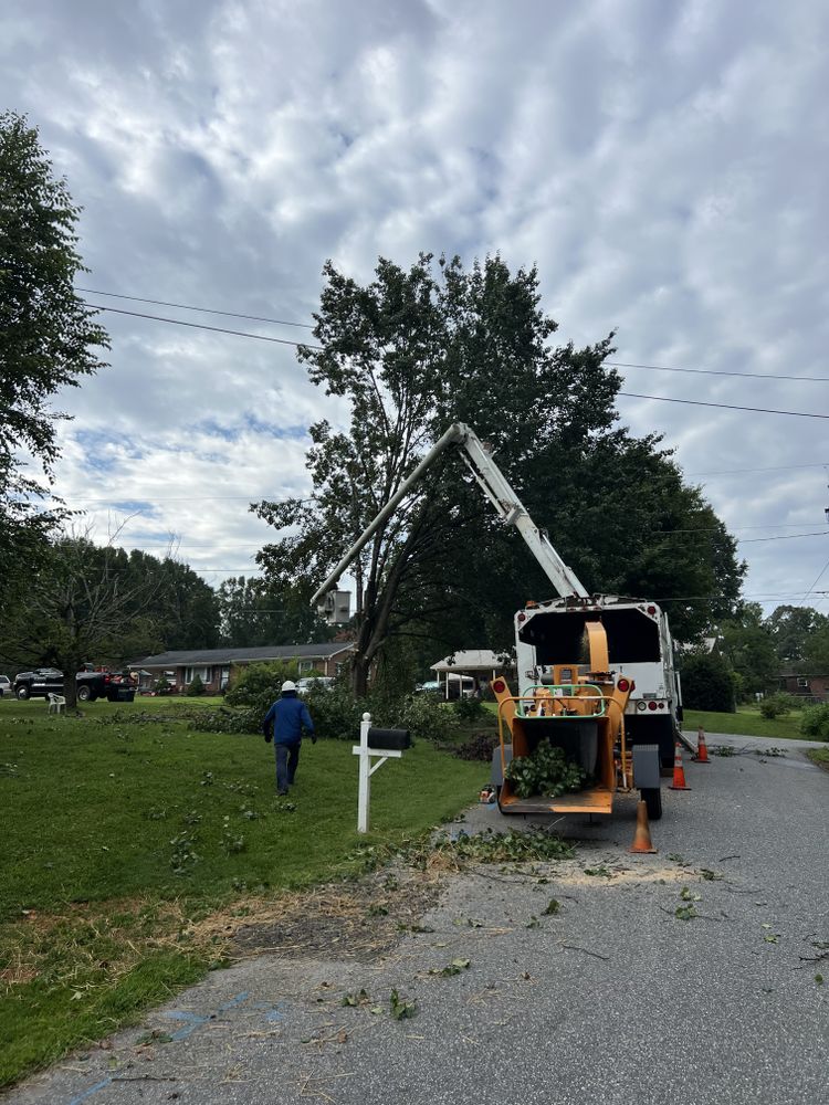 All Photos for Platinum Outdoor Services LLC in Conover, NC