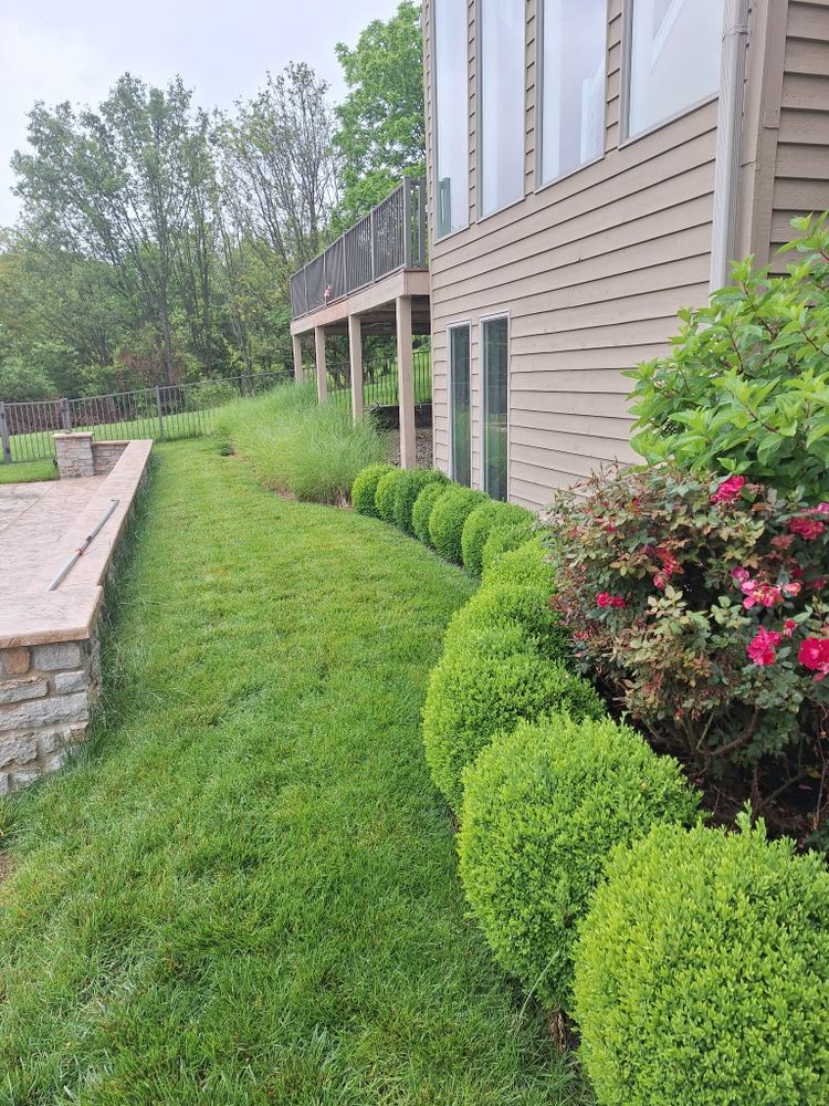 All Photos for Cincinnati’s Finest Landscape Services LLC in Cincinnati, OH