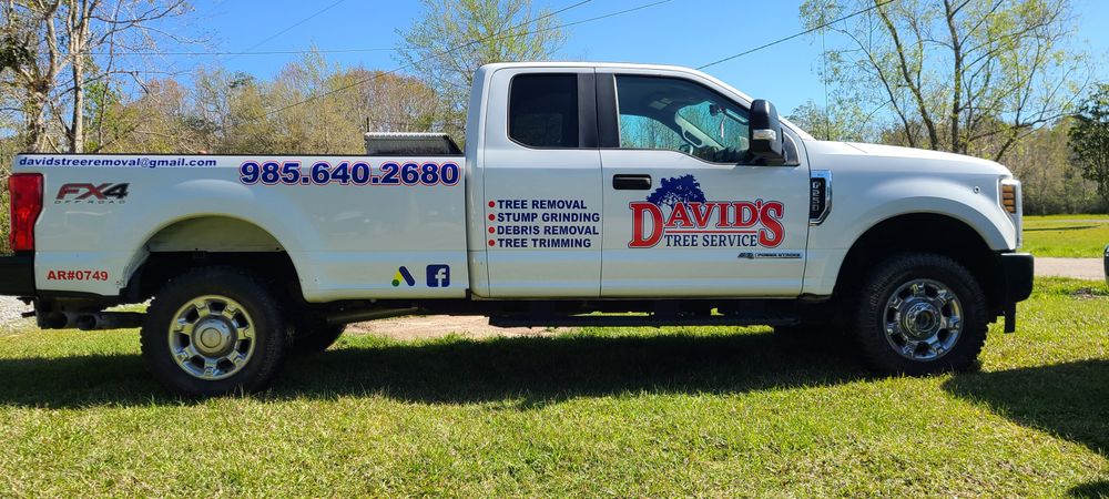 Tree Removal for David's Tree Service in Slidell, LA