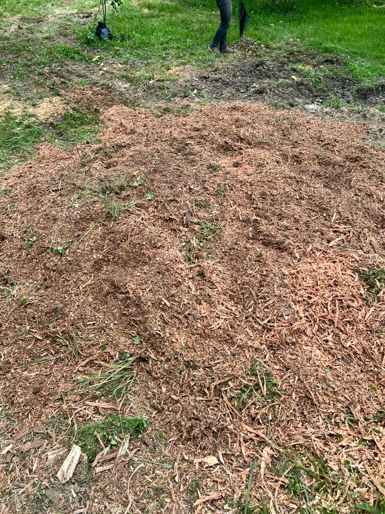 All Photos for Kadin’s Tree Service in North Vernon, IN