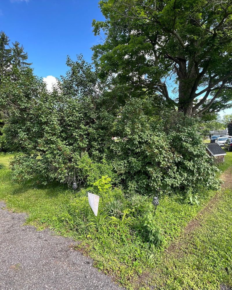 All Photos for Bielinski Bros Landscaping in Erie County, NY