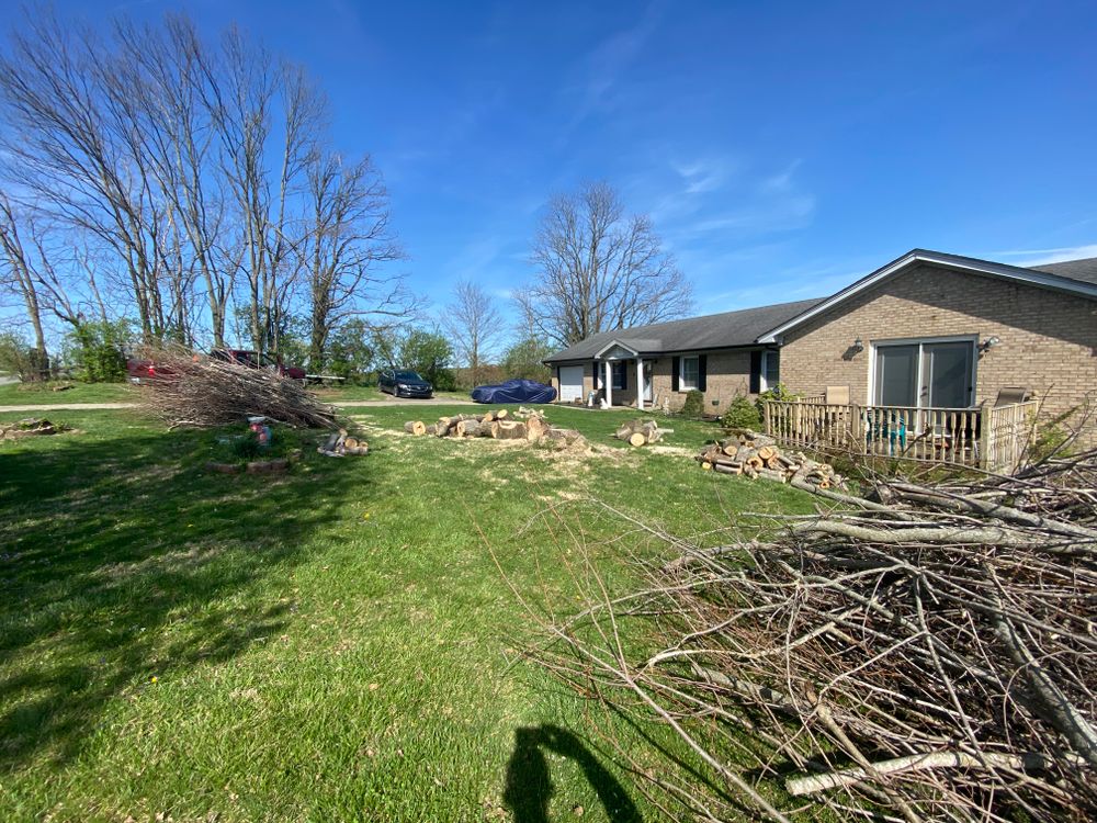 All Photos for Houtz Tree Service in Lexington, KY