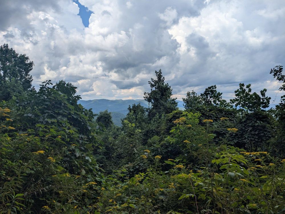 All Photos for Moose Welding And Metalworks in Blue Ridge, GA