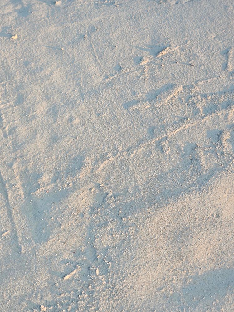 All Photos for Drury Concrete Coatings in St. Charles, MO