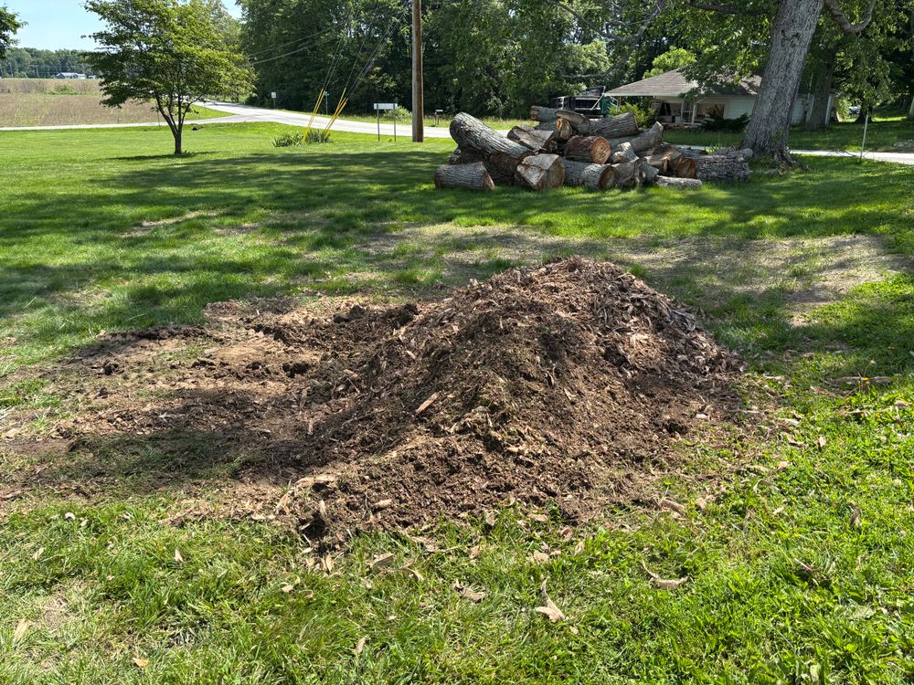 All Photos for Conrad's Stump Removal in Columbus, IN