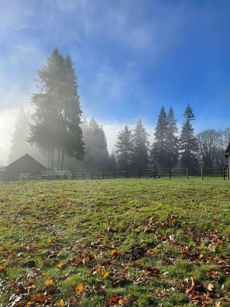 Fencing for Oats Equestrian Fencing LLC in Arlington, WA