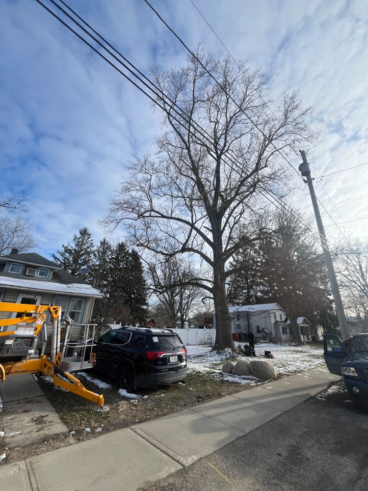 All Photos for Licensed to Cut Tree Service in Athens, PA