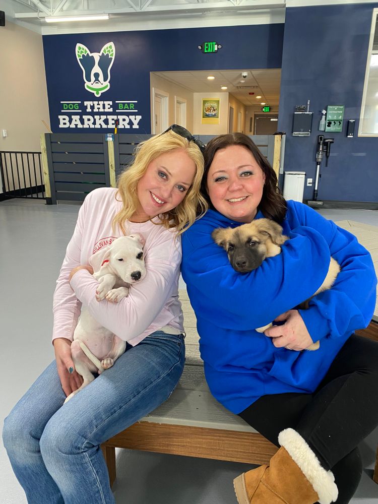 Sullivan Sanctuary of Maine team in Brunswick, ME - people or person